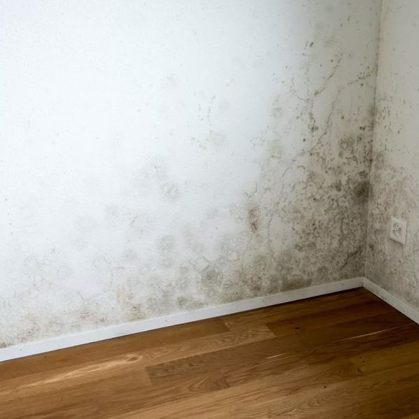 Schimmel in einer Ecke